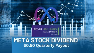 Meta Stock Dividend