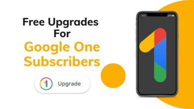Google One Subscribers