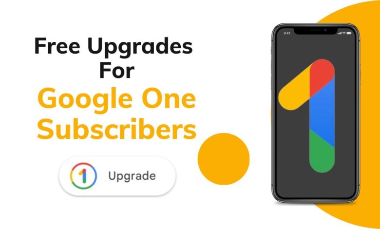 Google One Subscribers